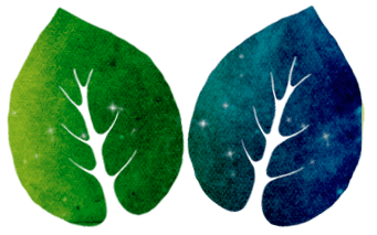 Genealogy Articles and Resources