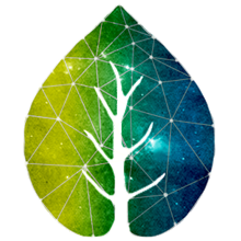 Soul Centered Genealogy with Kimberly Virdure